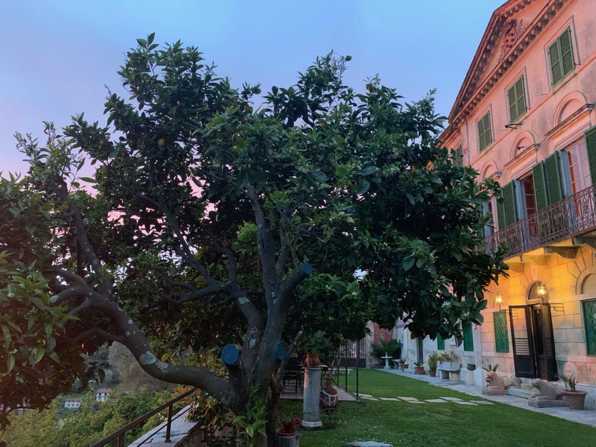 Agriturismo Villa Cavallini Камайоре Экстерьер фото