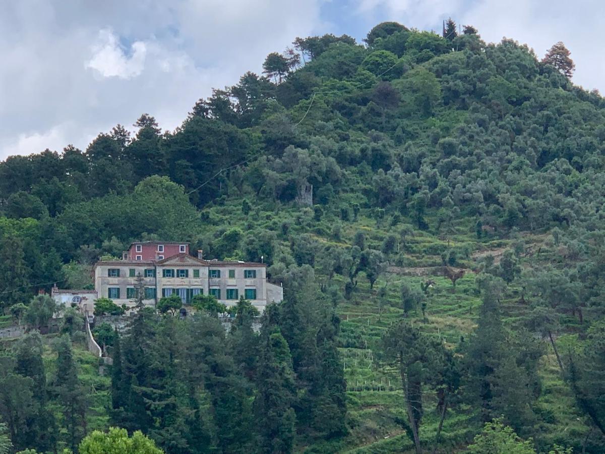 Agriturismo Villa Cavallini Камайоре Экстерьер фото